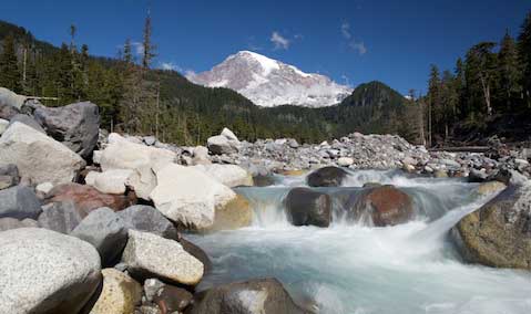 The Paradise River flows away from the peak of Mt. Rainier in Mt. Rainier National Park.