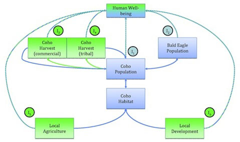Figure 9 from Ch 2, Sec 5 of the Puget Sound Science Review.  Modeling biophysical and human-based impacts on human well-being.