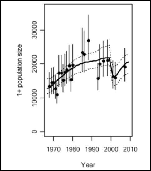 Estimated abundance of gray whales in the Eastern North Pacific stock from counts of whales migrating past Granite Canyon, California (error bars indicate 90% probability intervals; solid line represents the estimated trend of the population with 90% intervals as dashed lines; from Punt and Wade 2010).