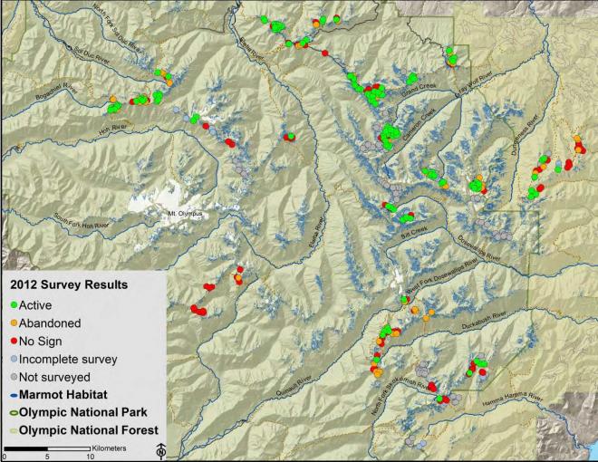 Olympic marmot habitat and monitoring results, 2012 (courtesy P. Happe, Olympic National Park).