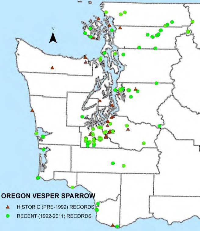 . Oregon Vesper Sparrow records from WDFW database, eBird (2012), museum, and literature records through 2011.