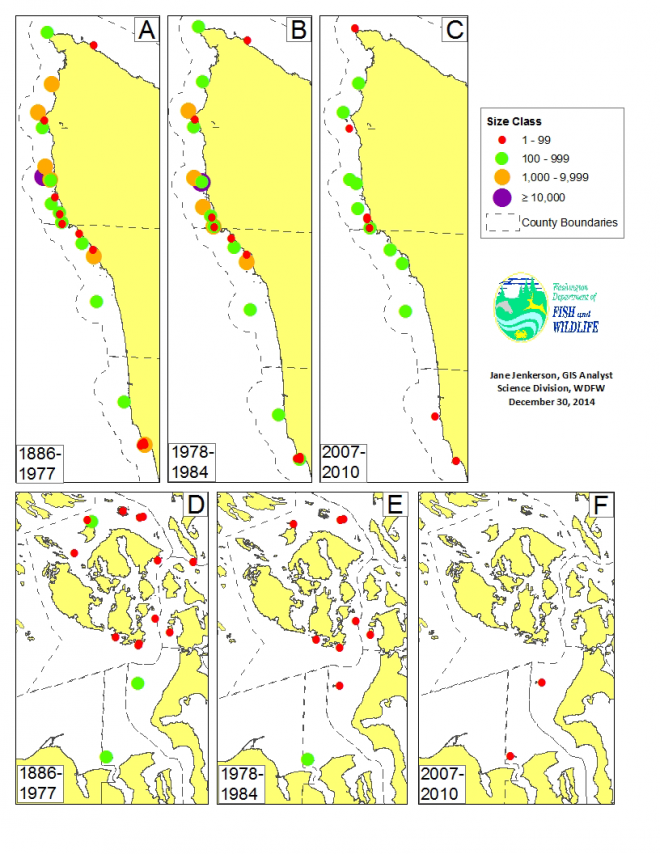 Figure 2. Locations and historical maximum population estimates for 44 Tufted Puffin breeding colonies documented in Washington.