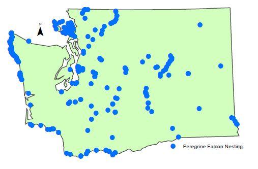 Peregrine distribution in Washington, 2000-2011. 