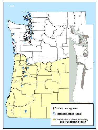 Historical and current breeding locations of the streaked horned lark in Washington and Oregon, and (inset) hypothesized historical breeding range (Stinson 2005).