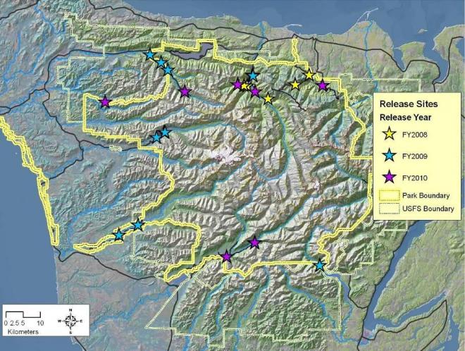 Figure 2. Release locations for fishers (n=90) in Olympic National Park in 2008 (yellow stars), 2009 (blue stars), and 2010 (purple stars).