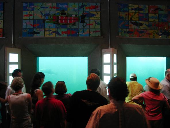 Tourists gather at fish ladder viewing windows. Photo: Sean Munson (CC BY-NC-ND 2.0) https://www.flickr.com/photos/logicalrealist/1271884860