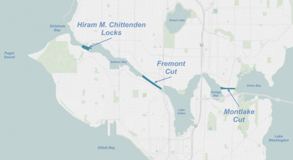 Map of Lake Washington Ship Canal with Hiram M. Chittenden Locks, Fremont Cut and Montlake Cut shaded in blue. Image: Dennis Bratland (CC BY-SA 3.0) https://commons.wikimedia.org/wiki/File:Lake_Washington_Ship_Canal_map.png