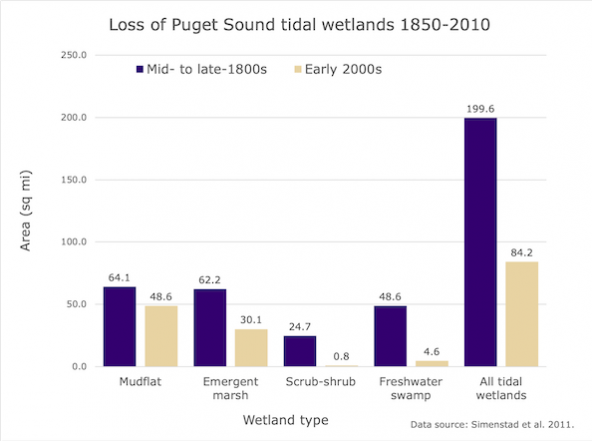 Chart showing decrease of tidal wetlands in Puget Sound 1850-2010. Data source: Simenstad et al., 2011. Chart: Sylvia Kantor/PSI