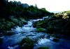 Tidal currents