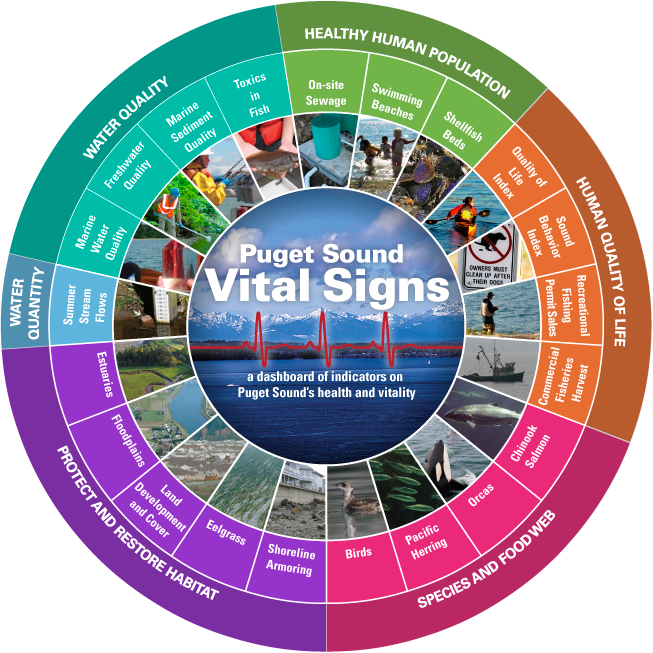 Puget Sound Partnership Vital Signs Wheel Puget Sound Partnership Vital Signs Wheel