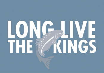 Long Live the Kings: https://lltk.org/