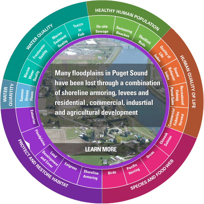Vital Signs Wheel (Floodplains highlighted). Credit: Puget Sound Partnership