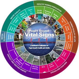 Vital Signs Wheel (birds highlighted). Credit: Puget Sound Partnership
