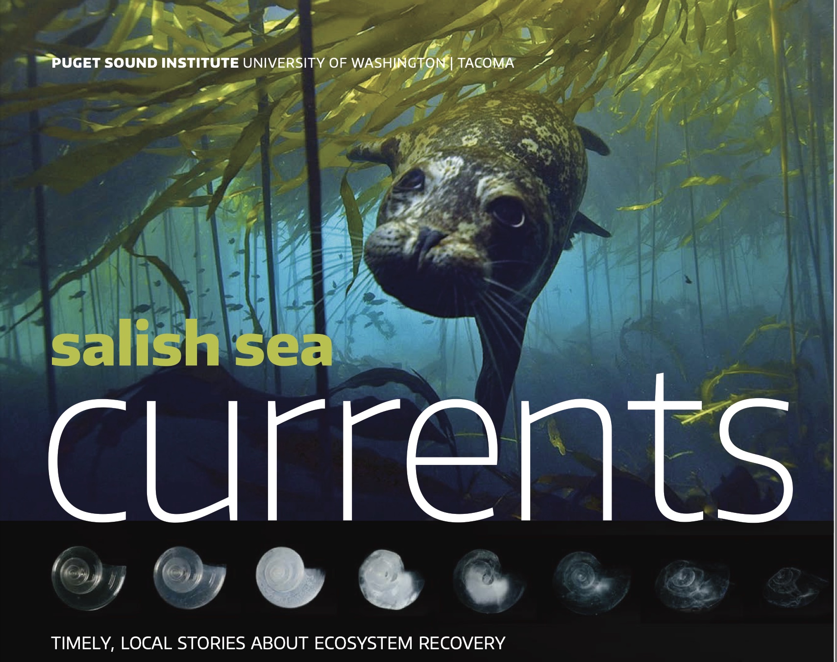 logo for Salish Sea Currents magazine