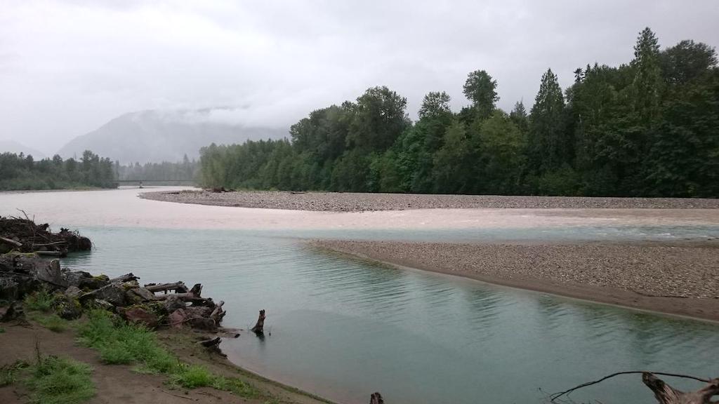 Image showing two rivers joining as one with trees in the background. One river is light brown with sediment and is separated from the other by a gravel bed.