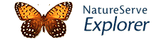 NatureServe Explorer logo