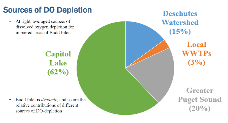 Graphic titled 'Sources of DO Depletion' showing average contributions to dissolved oxygen depletion in Budd Inlet: Capitol Lake 62% (green), Greater Puget Sound 20% (gray), Deschutes Watershed 15% (blue), and Local WWTPs 3% (orange). Text notes that Budd Inlet is dynamic, and source contributions vary.