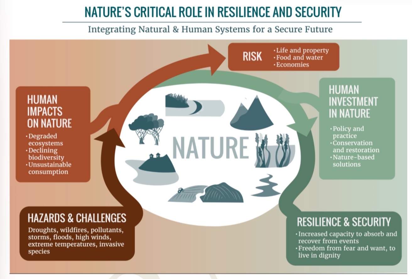 An infographic showing "nature's critical role in resilience and security."