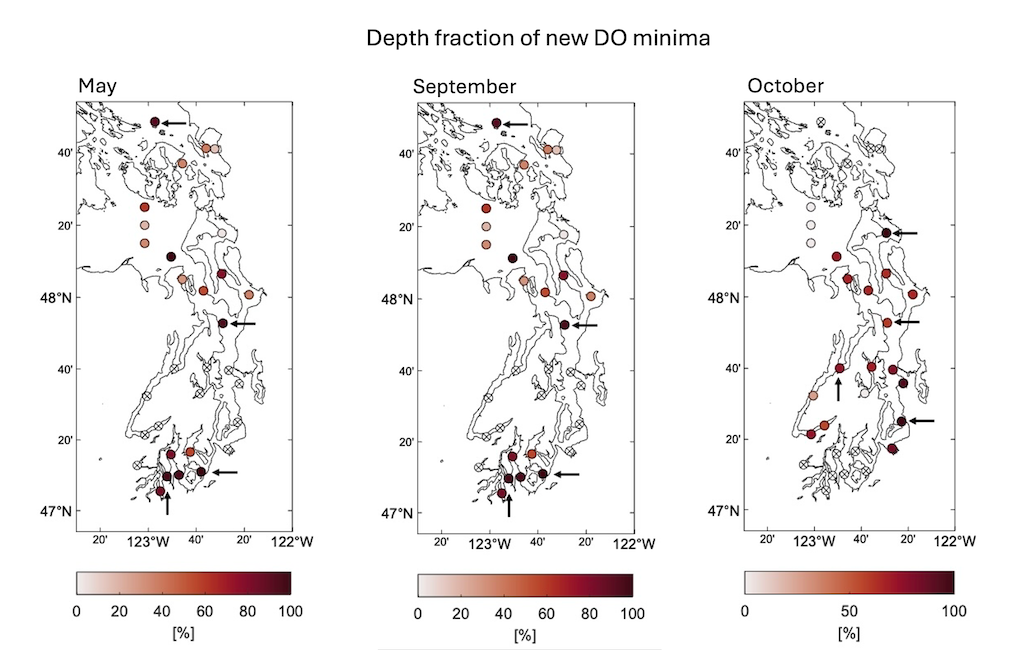 Three maps of Puget Sound showing dissolved oxygen minima in May, September, and October 2025 with color-coded circles.
