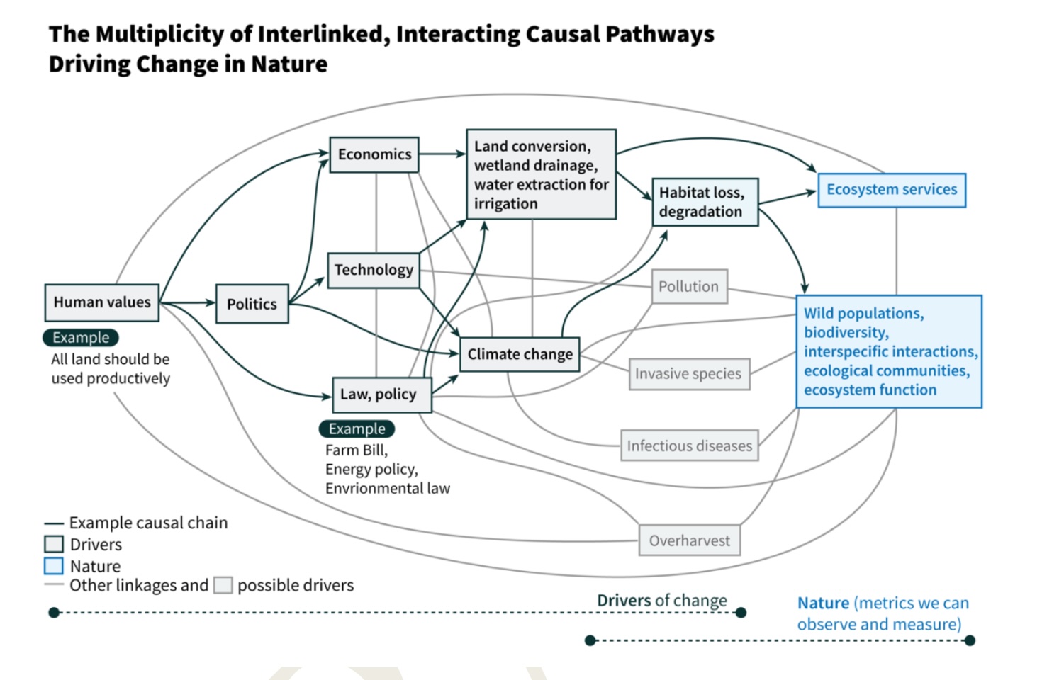 An infographic showing "the multiplicity of interlinked, interacting causal pathways driving change in nature."
