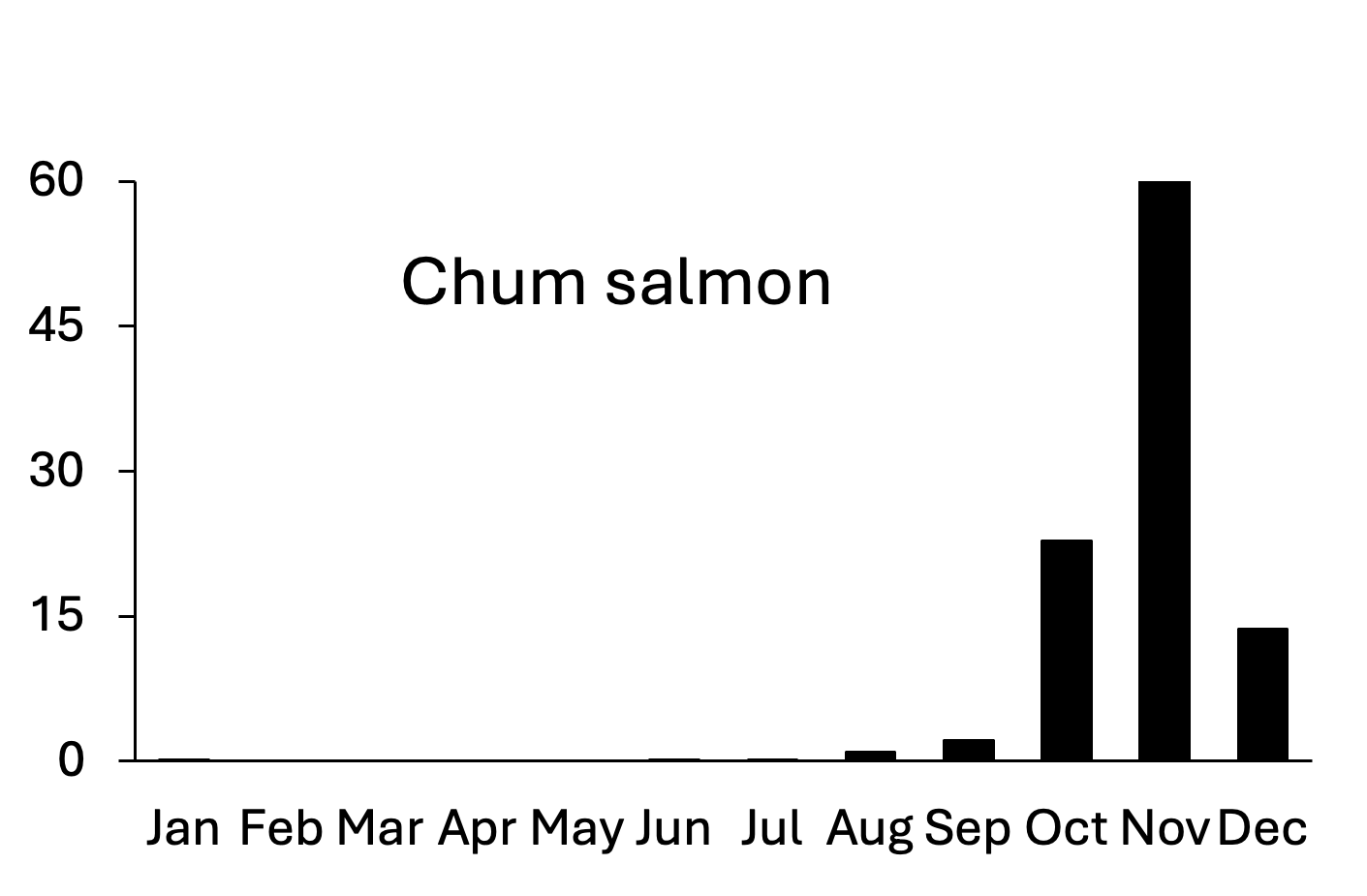 Bar chart showing chum salmon migration peaks dramatically in November, with moderate activity in October and December, and minimal numbers in other months