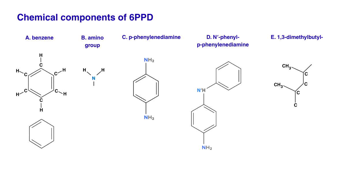 Diagram of five chemical components making up 6PPD molecule: benzene, amino, phenylene, and dimethylbutyl groups