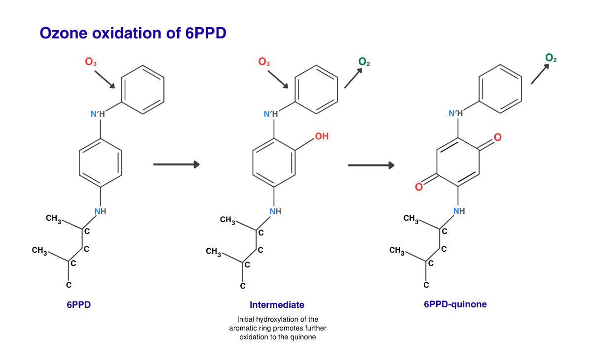 Chemical reaction showing 6PPD oxidized by ozone through intermediate stage to produce 6PPD-quinone toxic product