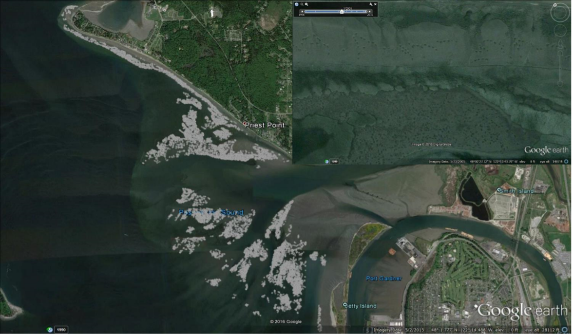 Google Earth view of Priest Point and Port Susan tidal flats in Washington State, showing coastal wetlands and surrounding urban areas.