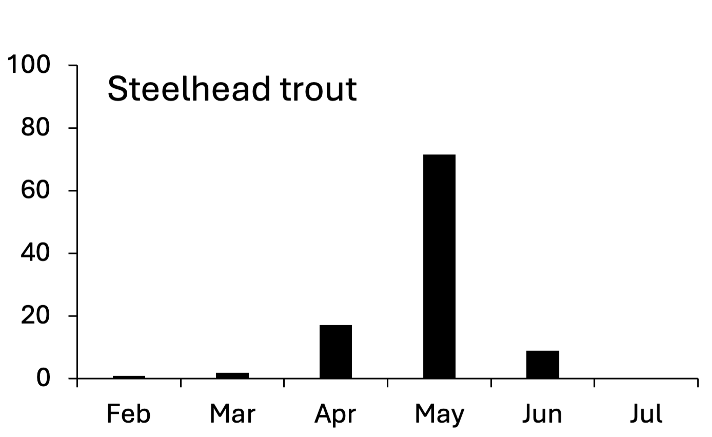 Bar chart showing steelhead trout migration peaks in May, with smaller numbers in April and June, and minimal activity in February and March.