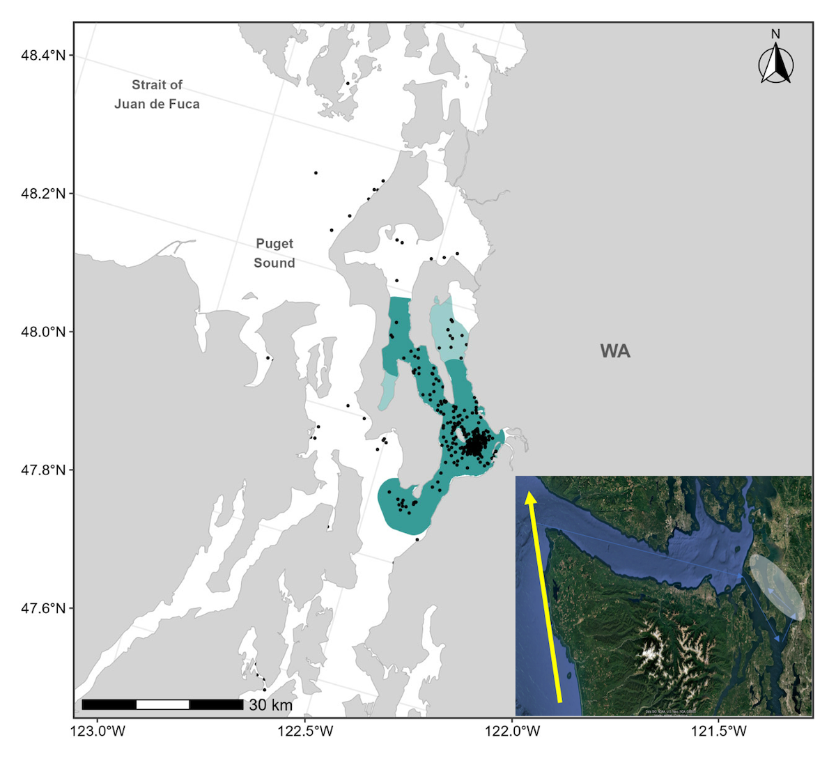 Map of northern Puget Sound showing the Biologically Important Area for Sounders gray whales in teal, with black dots marking 402 feeding sightings. Inset satellite image shows gray whale migration routes with arrows indicating paths from the coast through the Strait of Juan de Fuca into Puget Sound.