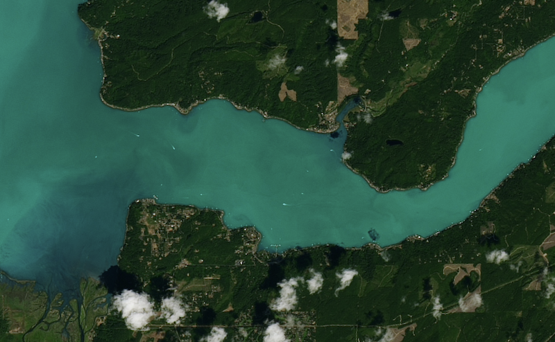 Aerial view of algal bloom in Hood Canal