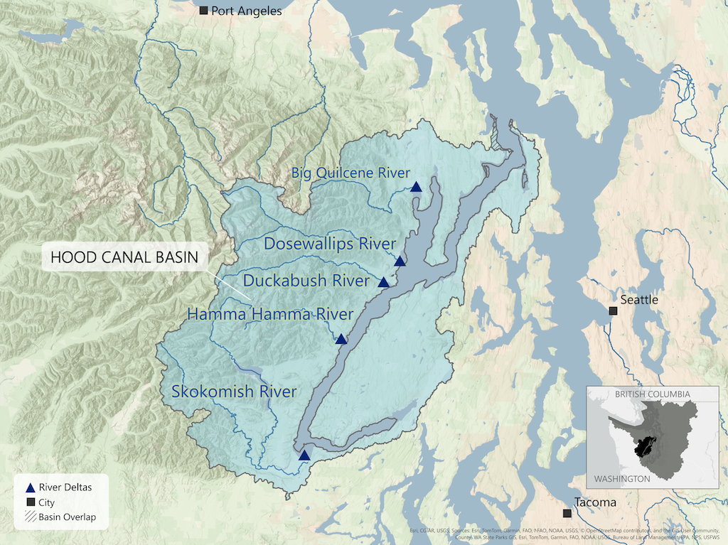 Map of Hood Canal Basin showing five major river deltas: Big Quilcene, Dosewallips, Duckabush, Hamma Hamma, and Skokomish Rivers