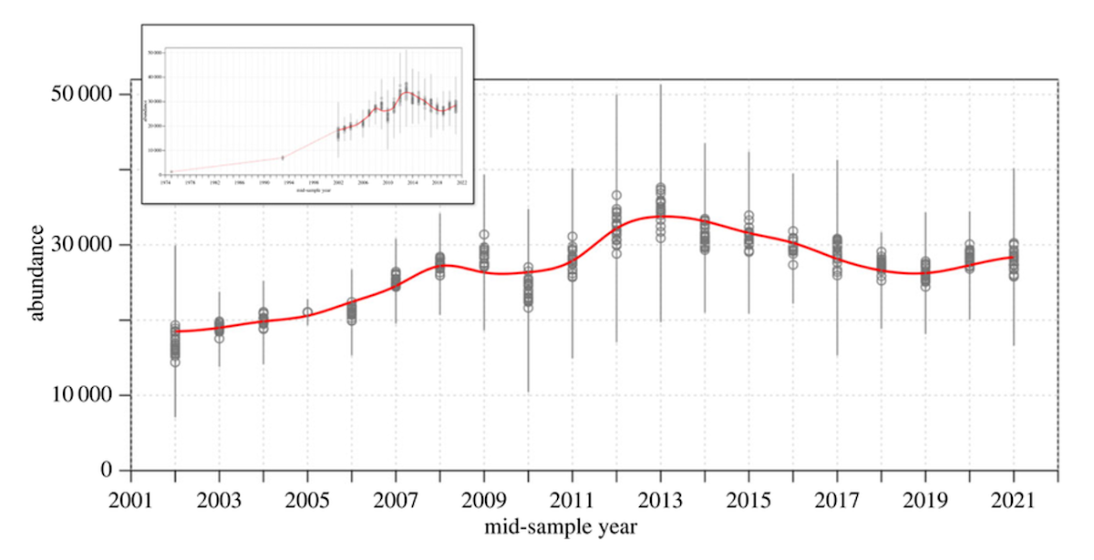 Graph showing humpback whale population from 2001-2021, increasing from about 18,000 to peak at 33,000 around 2013, then stabilizing.