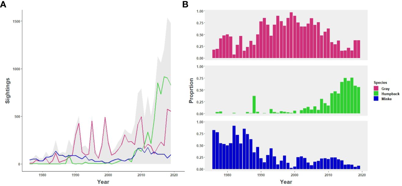 Graphs showing whale sightings from 1975-2020: left panel shows total sightings with humpback whales increasing after 2005; right panel shows proportions by species.