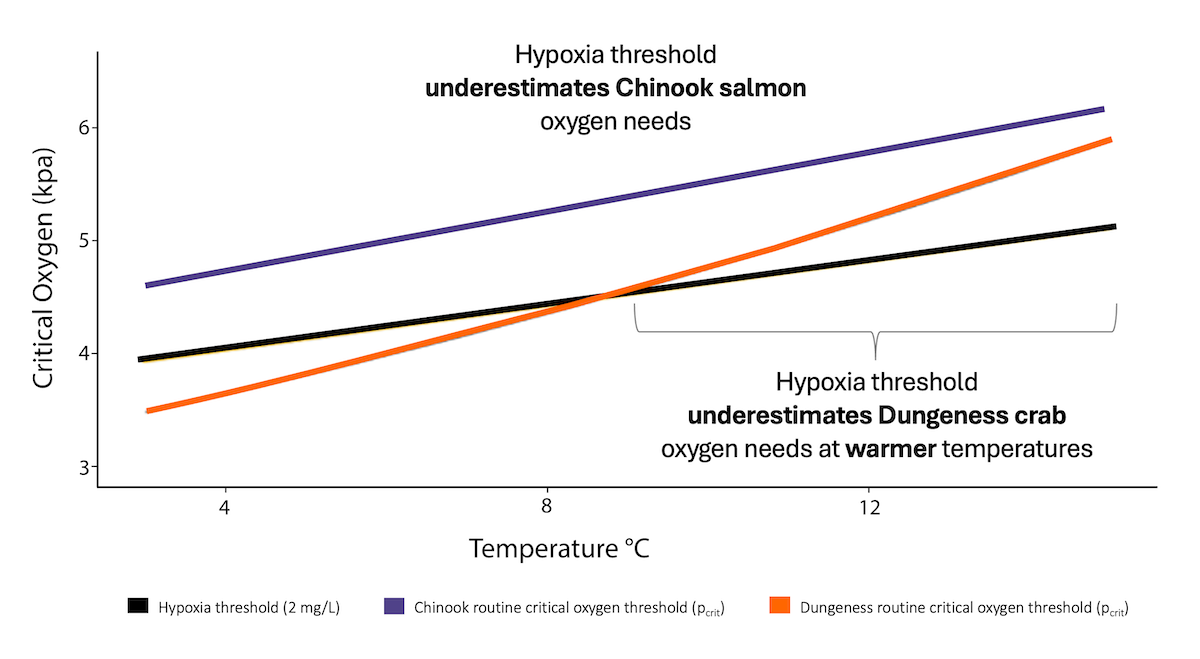 Line graph showing critical oxygen thresholds for Chinook salmon and Dungeness crab compared to hypoxia standard across temperatures