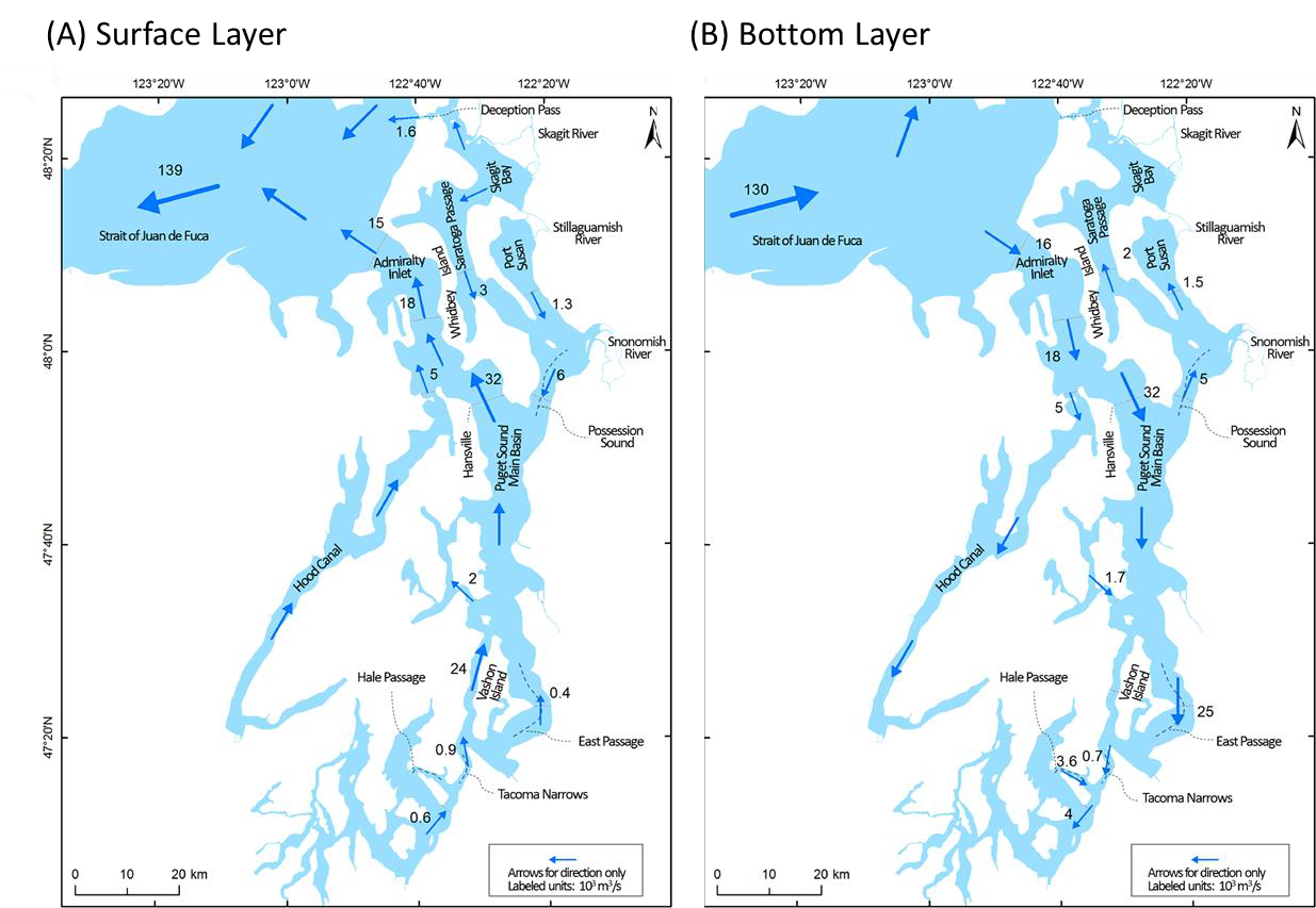 Side by side maps of Puget Sound showing circulation patterns in the surface layer (left) and the bottom layer (right)