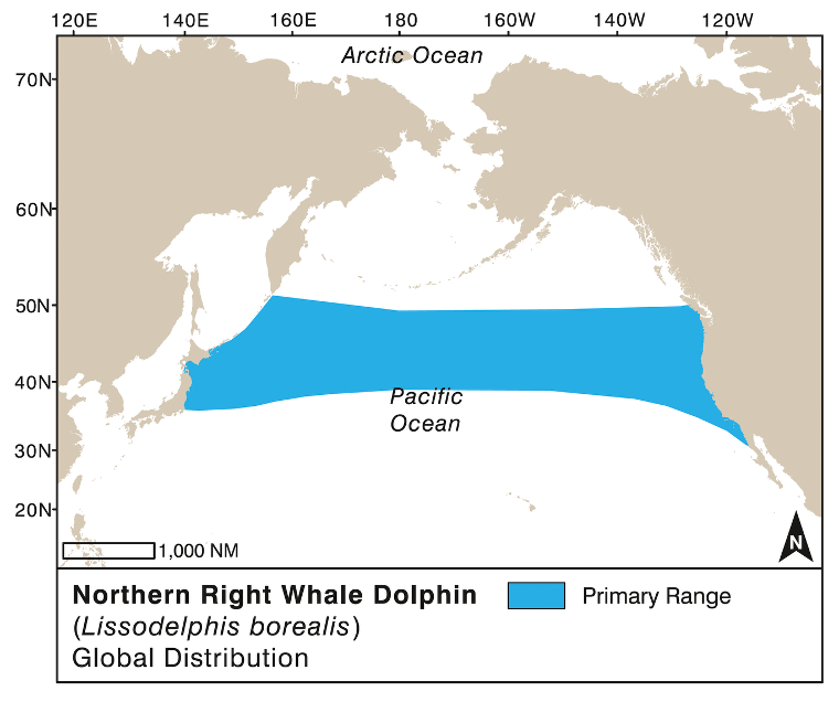 Map showing northern right whale dolphin global distribution with primary range highlighted in blue across Pacific Ocean