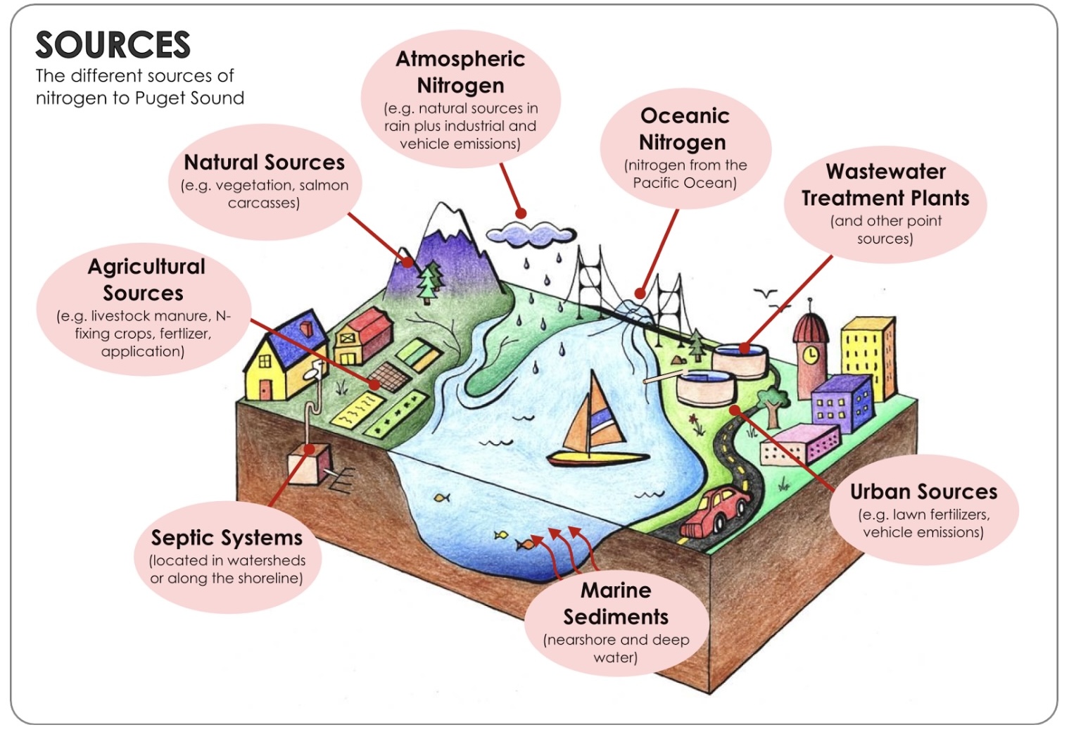 Diagram of nitrogen sources to Puget Sound, including urban, agricultural, oceanic, and atmospheric inputs, shown on a regional map.