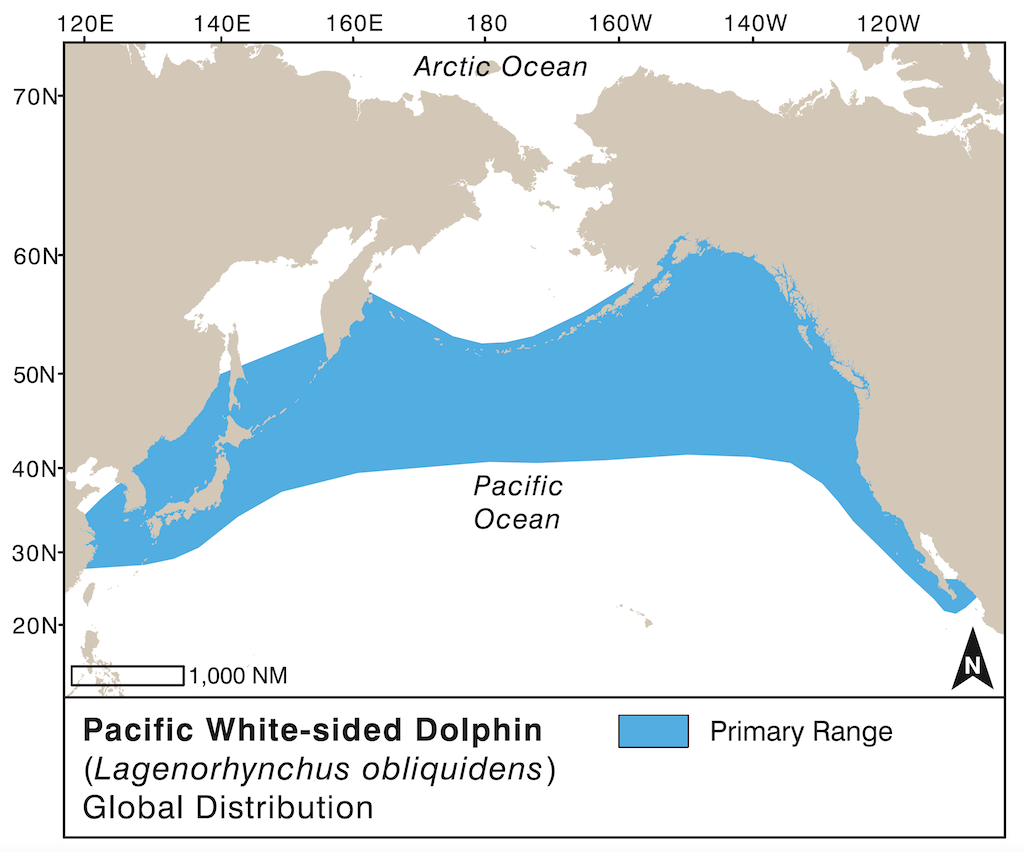 Map showing the global distrubtion of Pacific white-sided dolphins