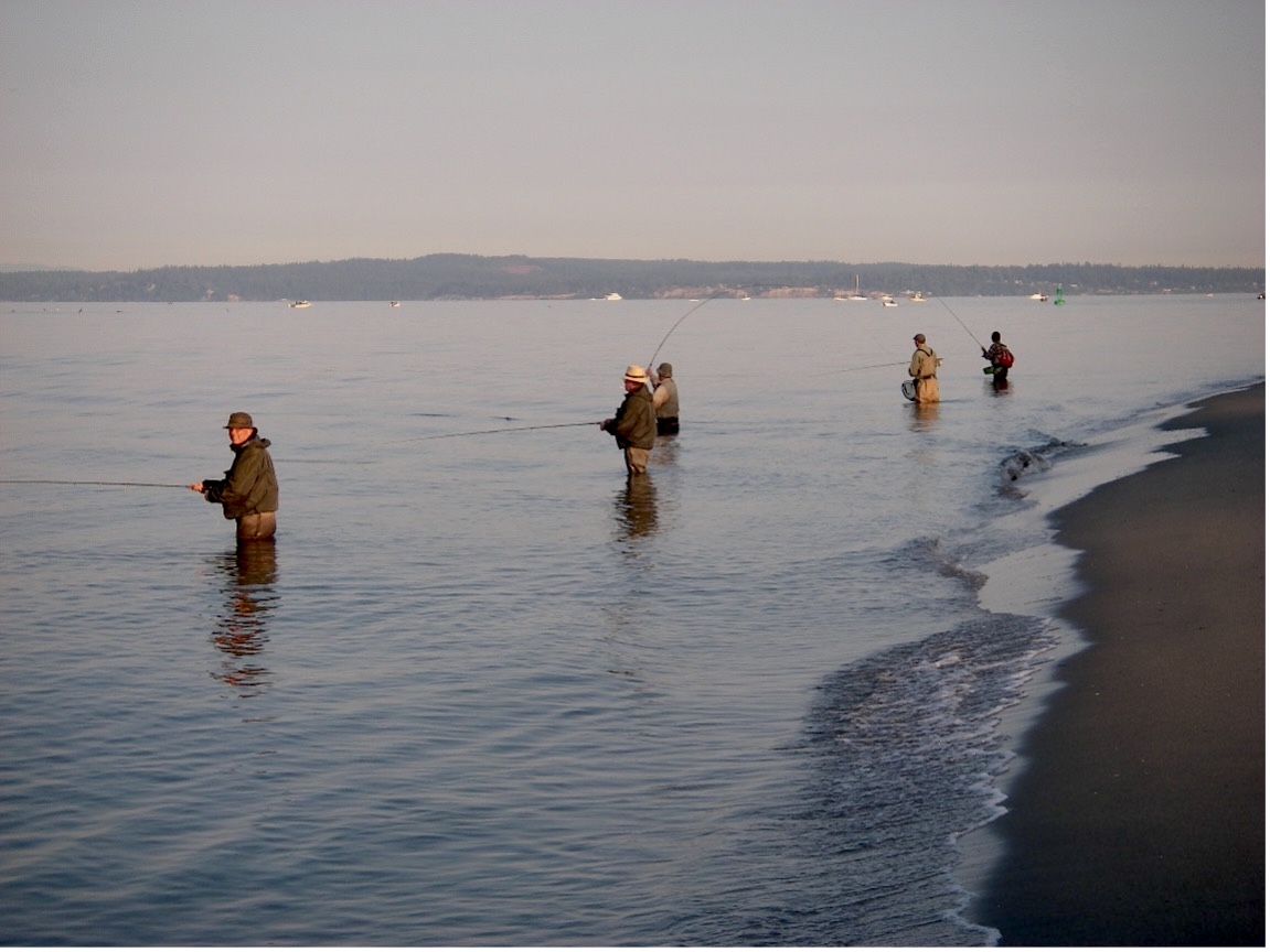 Several people wearing waders standing in water fishing next to a beach.
