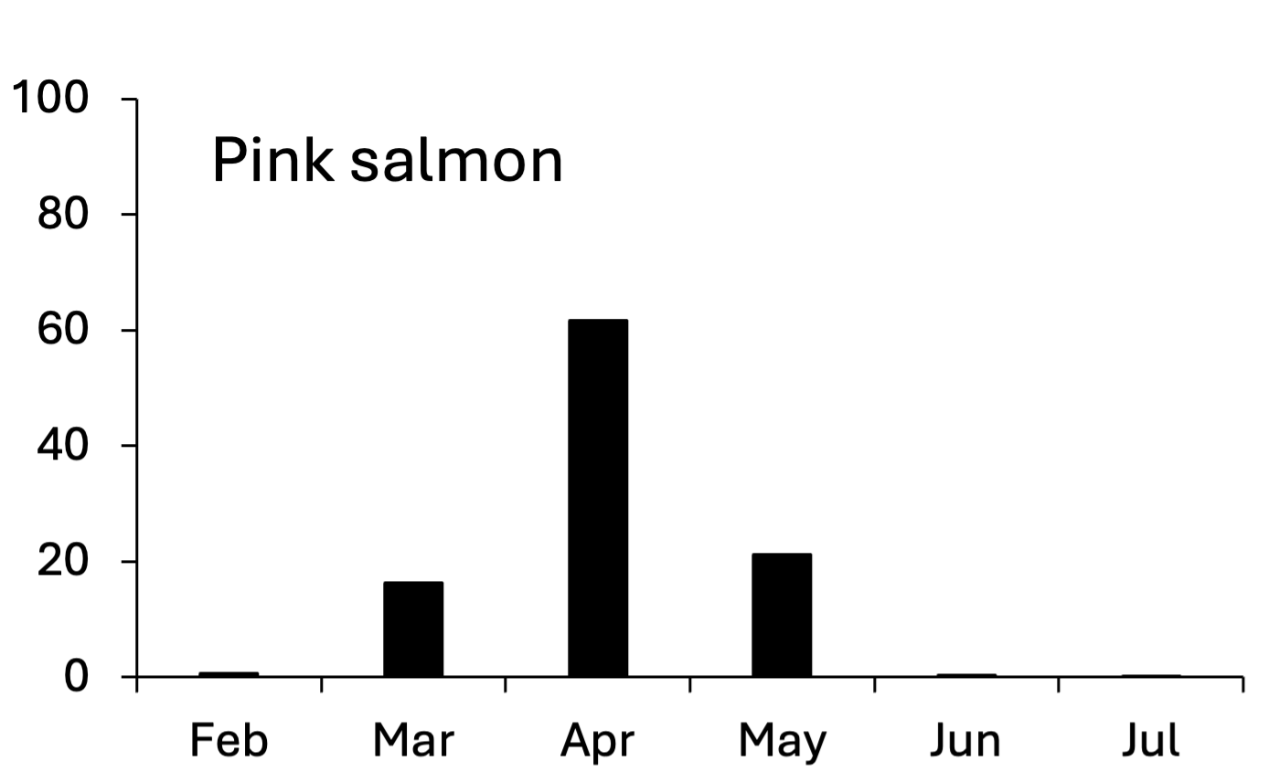 Bar chart showing pink salmon smolt migration peaks in April, with moderate activity in March and May, and minimal numbers in other months.