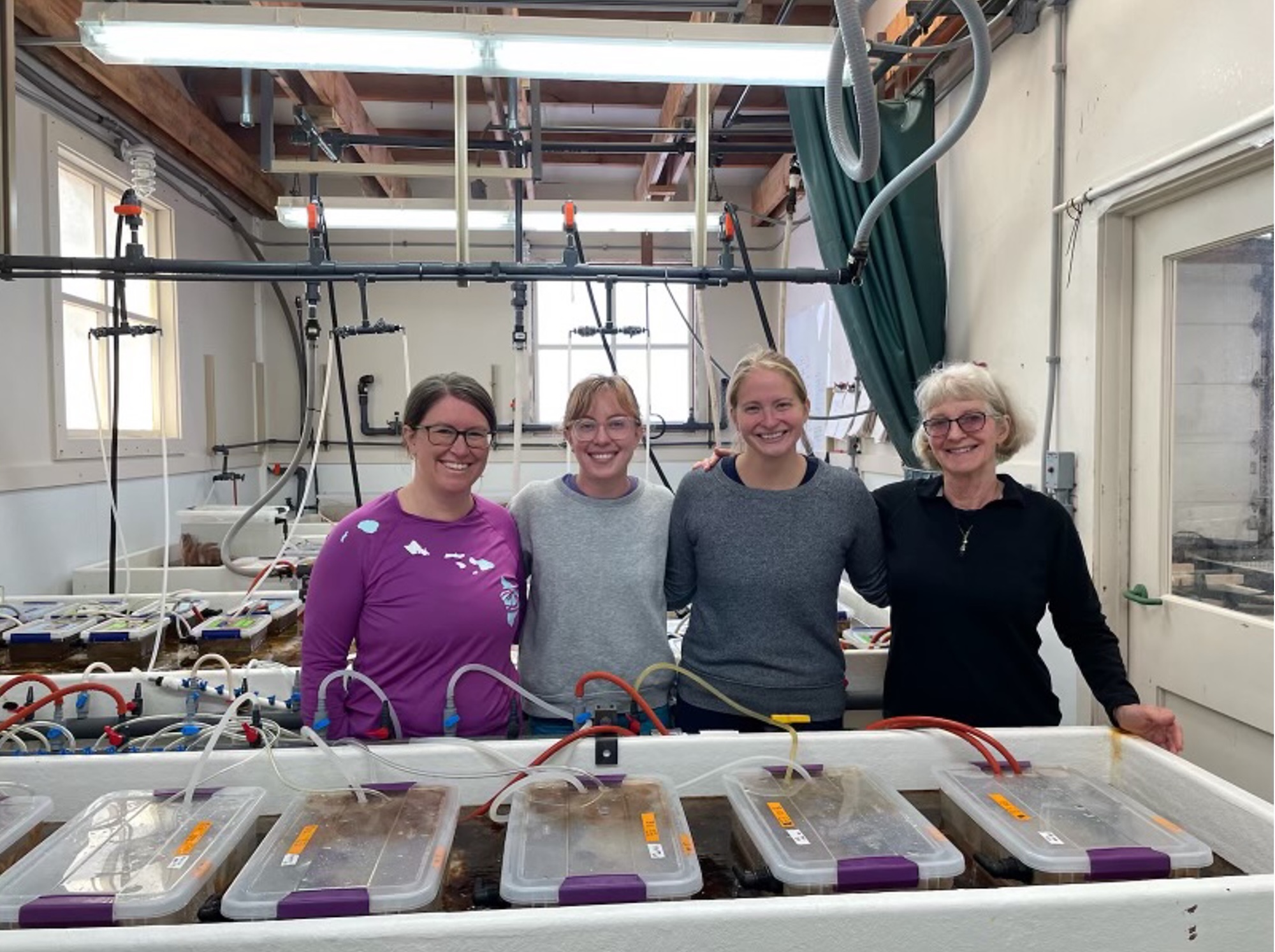 Four researchers standing behind a laboratory workstation with clear plastic containers and equipment used for marine research experiments.