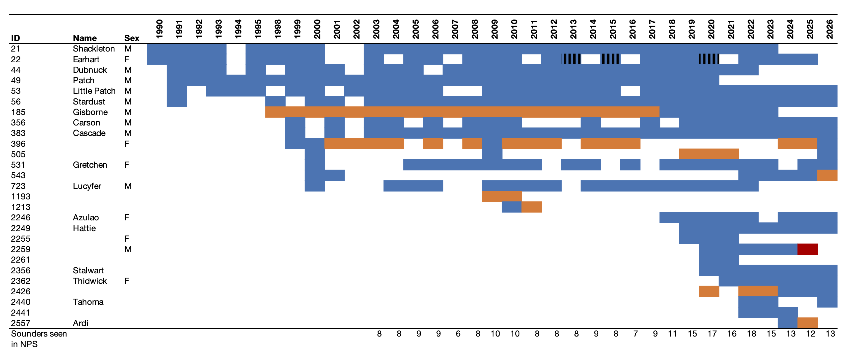 Chart showing annual sighting histories of named Sounder gray whales from 1998 to 2026 as a grid of blue and orange boxes, and one red one.