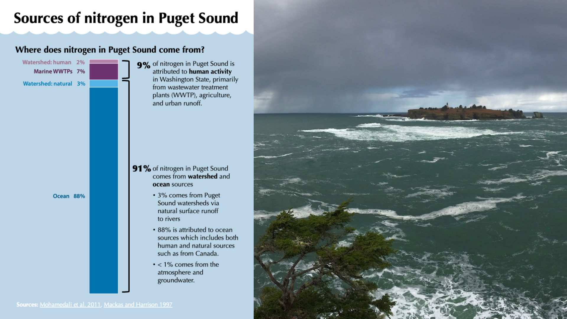 Infographic showing nitrogen sources in Puget Sound with bar chart and photo of turbulent ocean waters under stormy skies