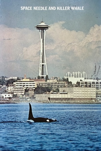 Postcard of Seattle showing an orca in the foreground and the Space Needle in the distance