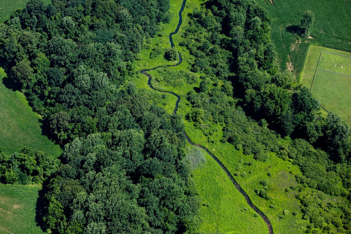 Aerial view of a winding stream flowing through green wetlands and forest, bordered by agricultural fields.