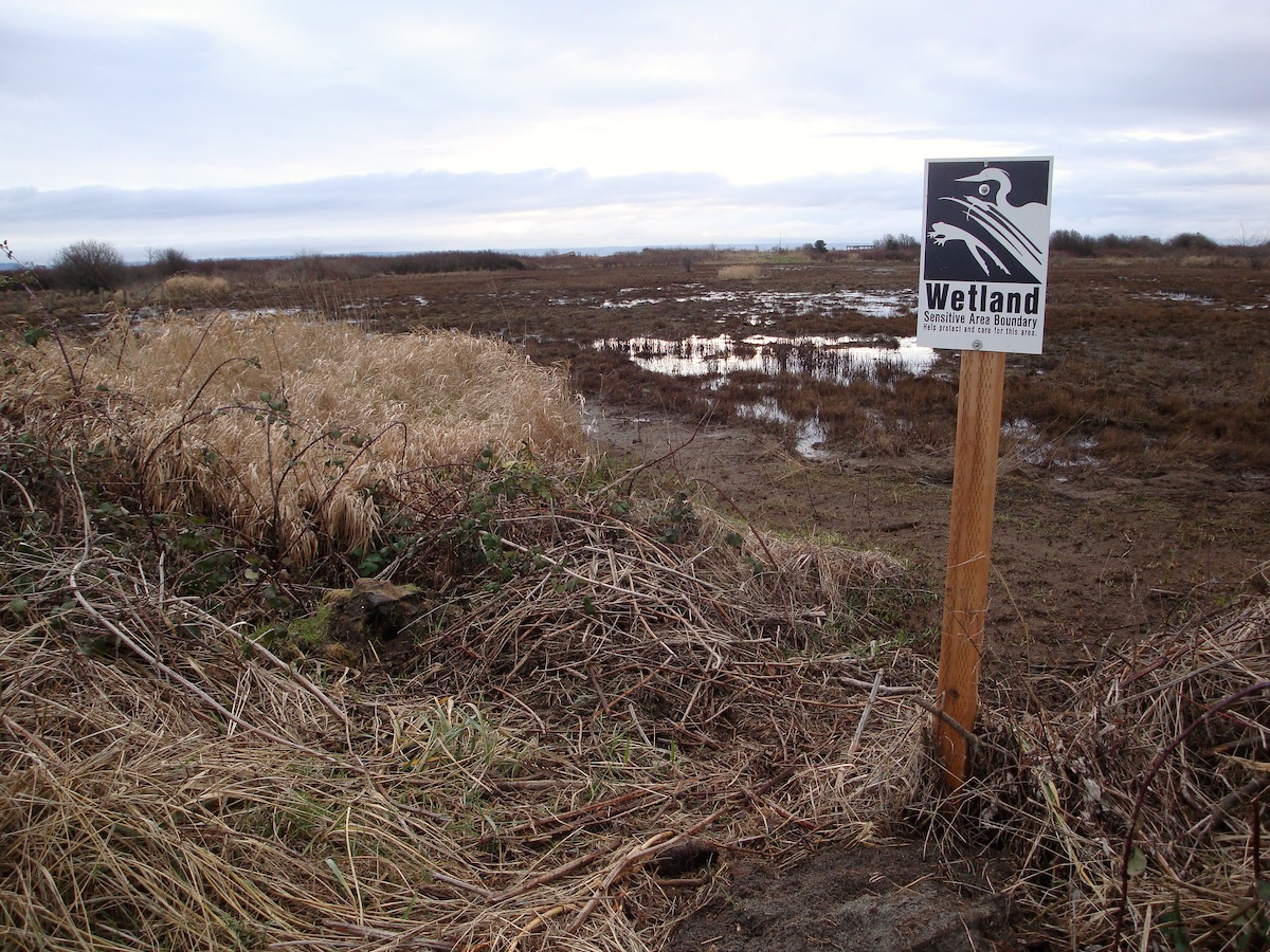 Wetland with standing water and brown vegetation marked by a sign reading 'Wetland Sensitive Area Boundary' under overcast skies.
