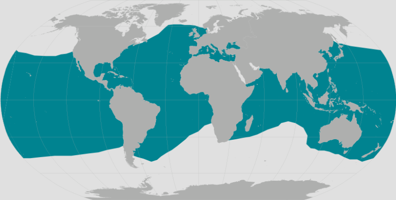 World map showing range of the common bottlenose dolphin. 