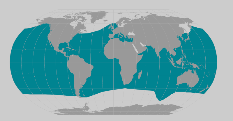 Map showing worldwide range of Cuvier's beaked whale.