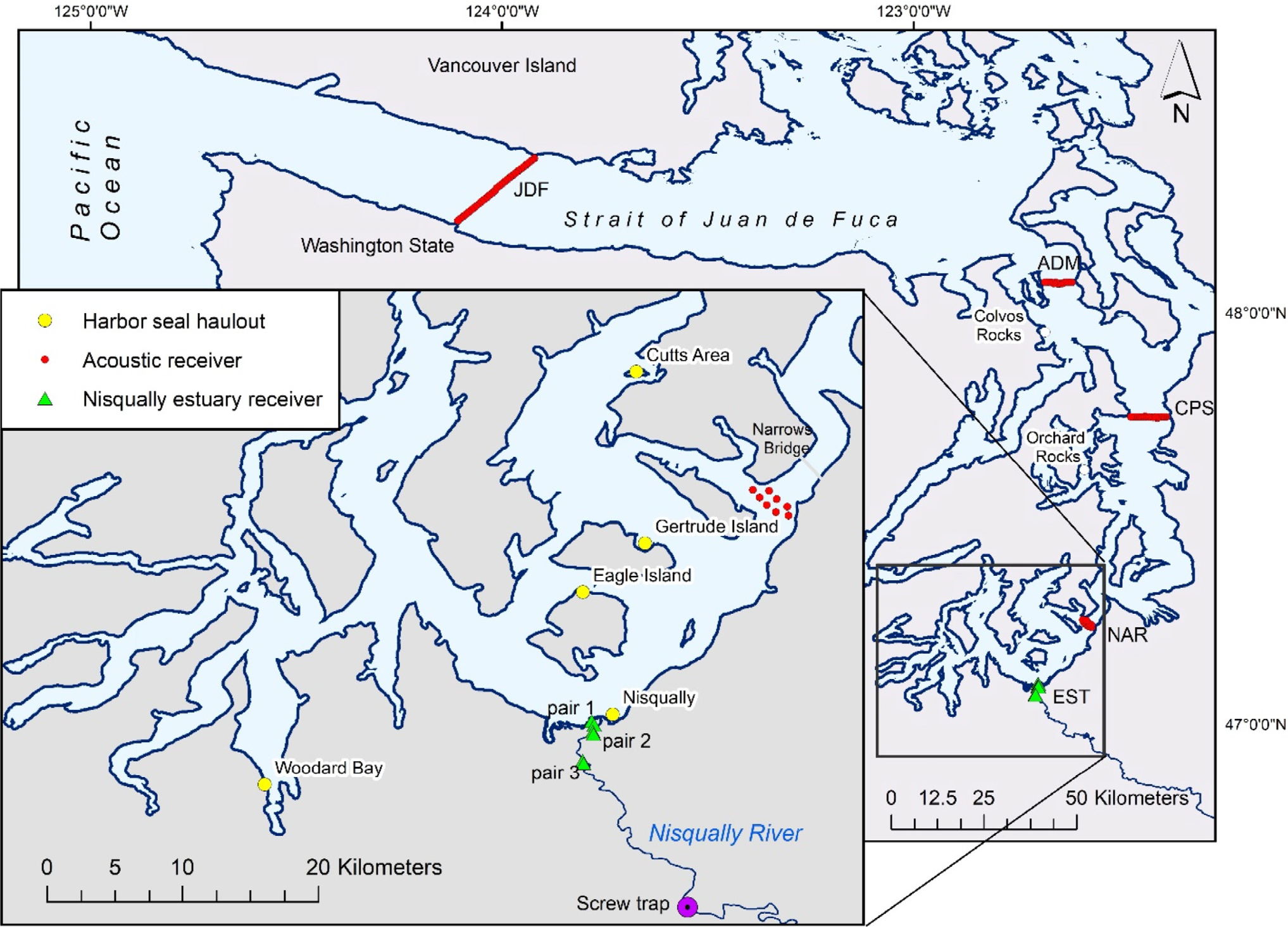 Map of Puget Sound and Nisqually estuary showing acoustic receiver, seal haulout, and smolt tracking locations